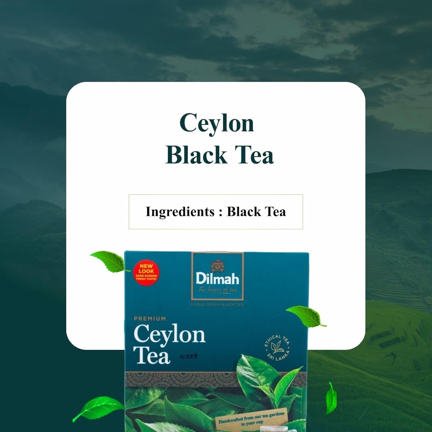 Dilmah Premium Ceylon Tea – 100 Tea Bags (200g), Pure Sri Lankan Black Tea (7.05 oz)