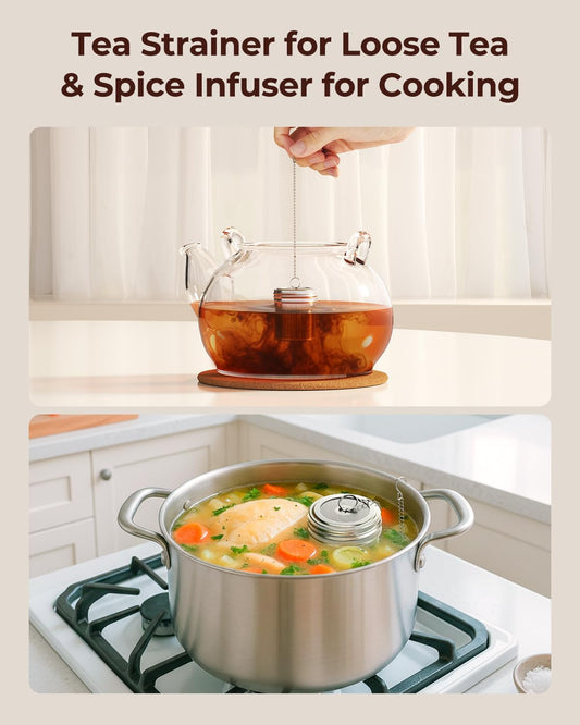2 Pack Reinmoson Large Tea Infuser for Loose Tea & Spice Ball for Cooking