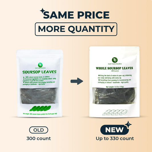 Soursop Graviola Leaf Tea
