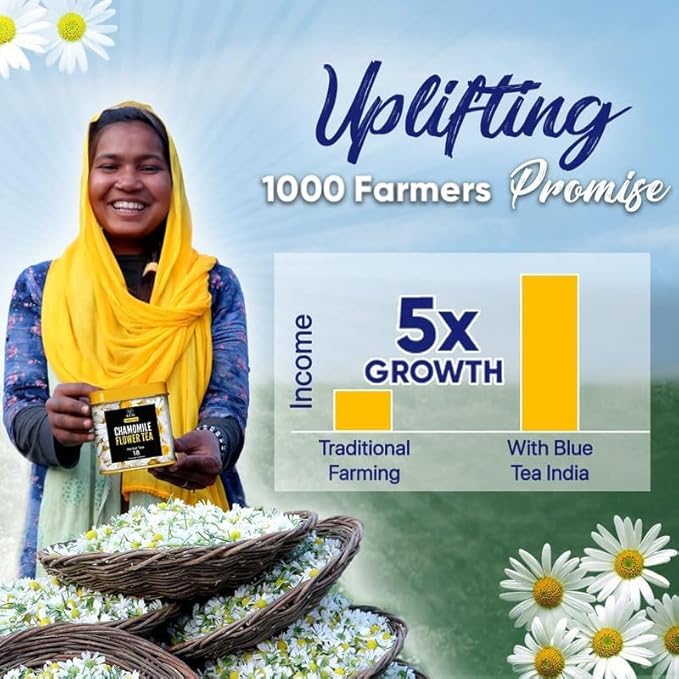 BLUE TEA - Flower Tea Combo - 5.64 Oz (Pack of 5) | Black Deals Friday 2025 | Butterfly Pea, Rose, Hibiscus, Chamomile, Lavender | VARIETY PACK | Caffeine Free - Non-Bitter - Herbal Tea - Flower Based | Pet Jar Pack