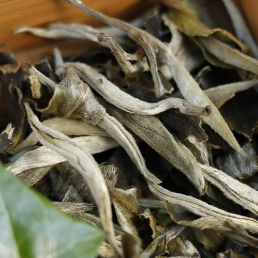 SANRAN White Peony Tea Loose Leaf, Bai Mu Tan Yunnan Bai Cha, 2.82 Ounce