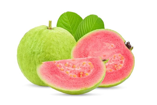 Pink Guava Te 1-2ft