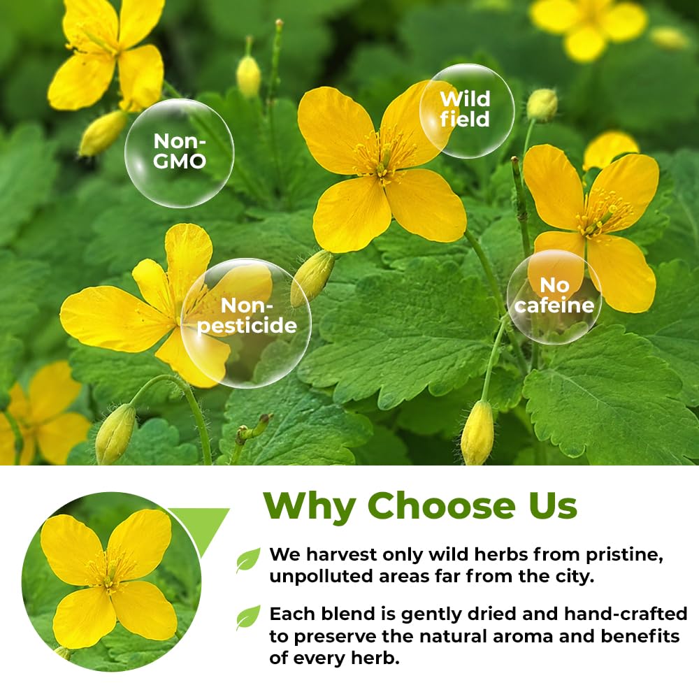 4 oz. Celandine Herb Herbal Tea (Chelidonium Majus) - 113g Herb Tea Celidonia Celandines