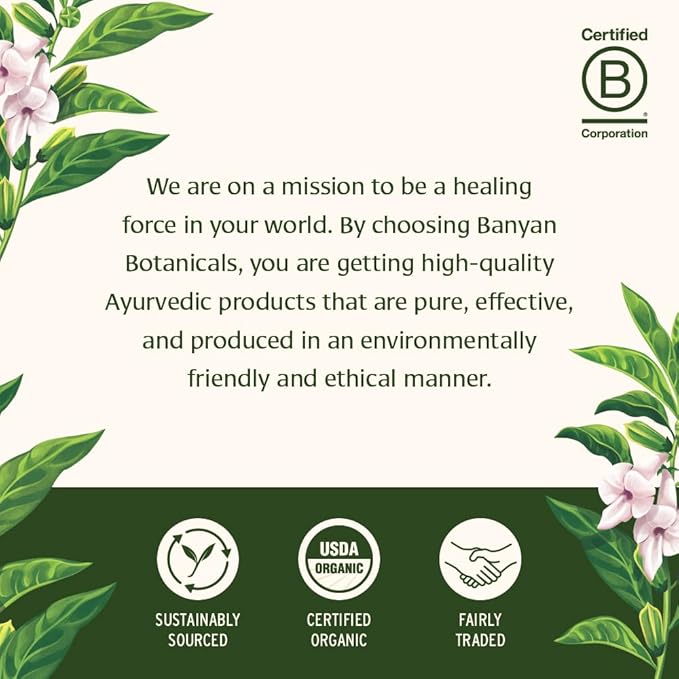 Banyan Botanicals Tulsi Echinacea Tea – Organic Immune Support with Turmeric & Rosehip – Caffeine Free Tea for Healthy Immune Function* – 2 oz
