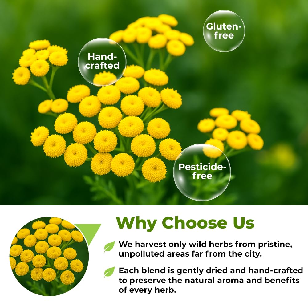 3 oz. Dried Tansy Flowers Herb (Tanacetum Vulgare L.) Pishma Herbal - 75g