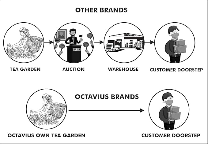 Octavius Assorted 5 Loose Leaf Tea Samplers | Indian Masala, Cardamom, Cinnamon, Kashmiri Kahwa, Tulsi Green Tea | Perfect For tea & Green Lovers | 25 cups (5 packs of 10gm each) | Mothers Day Gift