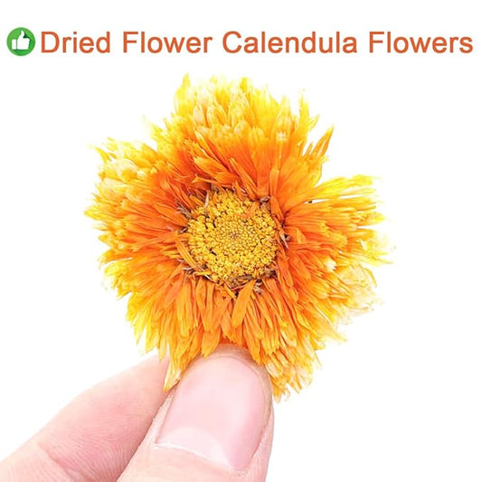 Plant Gift Herbal Calendula tea, Chinese Flower tea, 100% Natural Marigold Calendula Flowers Dried, Natural Calendula - Premium Calendula herbs - Non-GMO - Caffeine-free Tea 35g/1.23oz