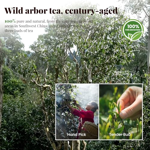 The Spring Tea Premium Grade Wild Tree Black Tea From 300+ Year Old Tree, Loose Leaf Tea, Organic, With Individual Pack, Just harvested in Spring, Exquisite, Handpicked, Gift Package, 3.5oz/100g