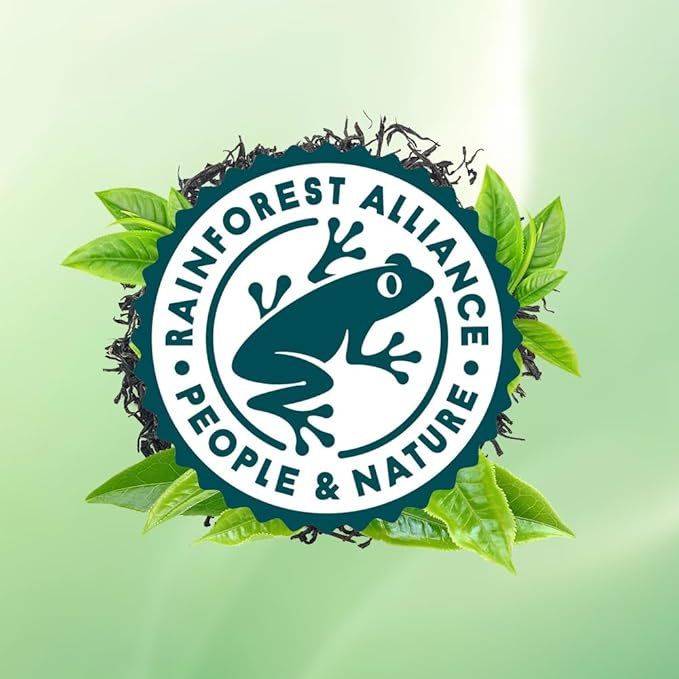 RIANTEA Organic Jasmine Green Tea Bags, Cold & Hot Brew Sencha Tea, Naturally Sugar Free Low Caffeine Teabag, Premium Original Leafy Green Tea Pods