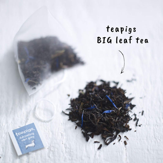 teapigs, Darjeeling Earl Grey Tea, Made with Whole Leaves, Whole Leaf Tea Temples, 50 Count, Pack of 50, Elegant, Floral Bergamot Blend