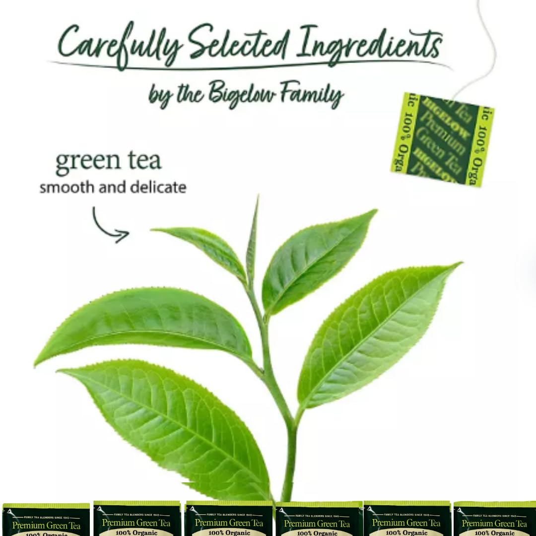 Premium Bigeloww Organic Green Tea 140 Count, Individually Wrapped Tea Bags - For Daily Wellness & Antioxidant Boost - Packaged for Freshness