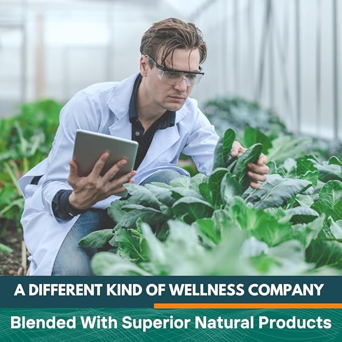 MexiVida Herbal Tea, Supports Blood Pressure & Sugar Balance, All Natural Ginger Turmeric Tea, Nutrient-Rich Herbal Tea, Caffeine-Free Wellness Tea