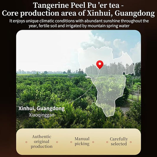 Yuexi Tangerine Peel Puerh Tea Xiao Qing Gan Pu-erh Xinhui Orange Peel Puer Tea Xinhui Chenpi Pu'er dried orange peel Pu'er tea 新会陈皮普洱茶 小青柑 普洱茶 中国茶 200g/7.05oz
