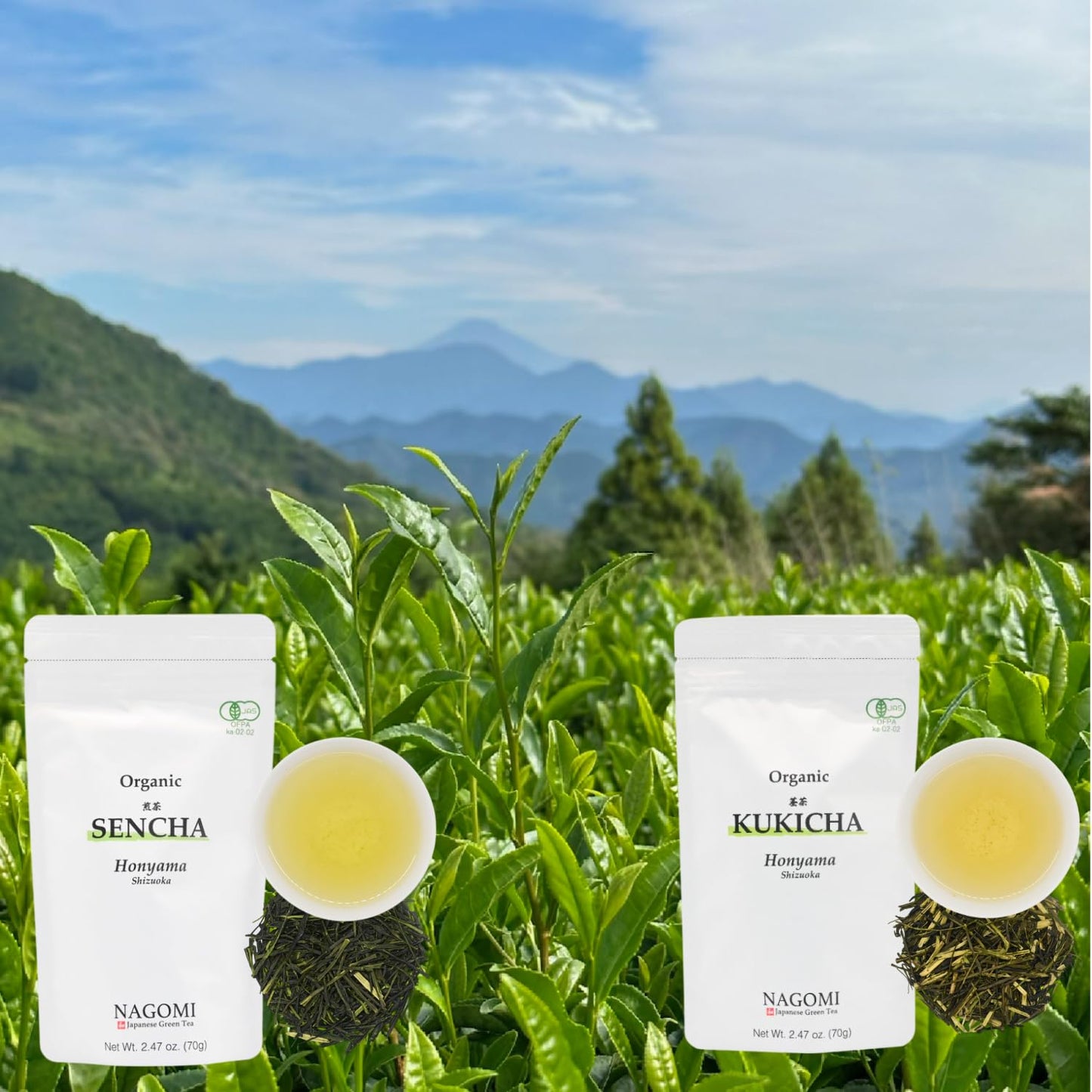 NAGOMI Organic Fukamushi Sencha - Loose Leaf Japanese Deep Steamed Green Tea, 70g/2.47oz.