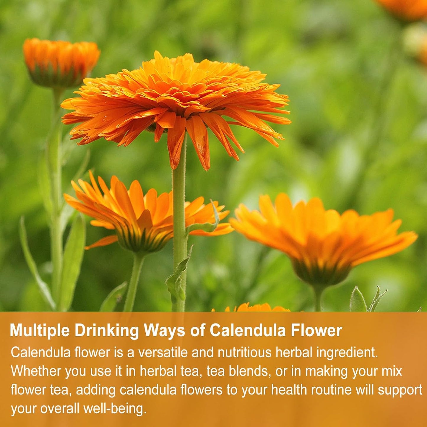 Jarteela - Dried Calendula Flowers Tea Bag, 36 Ct, Calendula Herbs Teabags | calendula flowers, supports gentle digestion and helps maintain healthy-looking skin. Caffeine-free, Non-GMO.