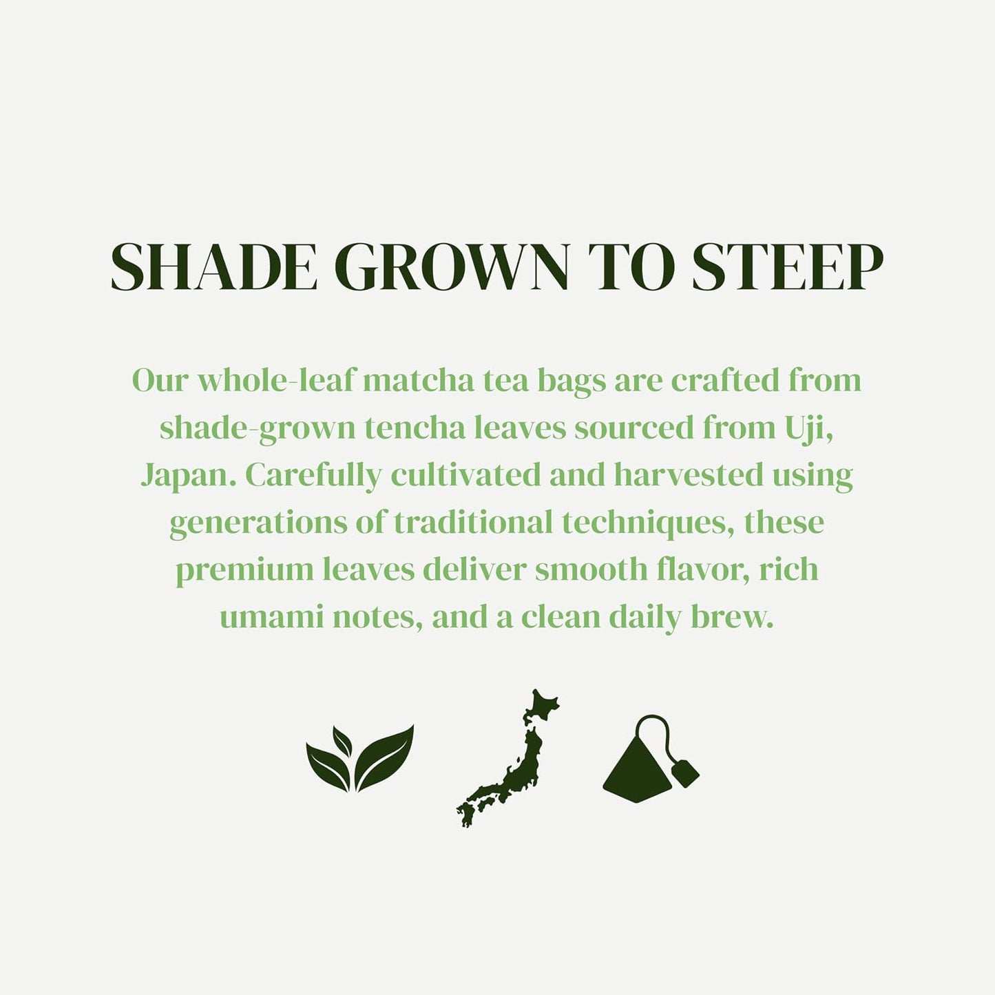 Matcha Kari Organic Japanese Green Tea Bags - Whole Leaf Tencha - 20 Ct | Organic superior Japanese matcha green tea in whole-leaf tencha bags, rich umami, antioxidants, smooth caffeine, 20 ct