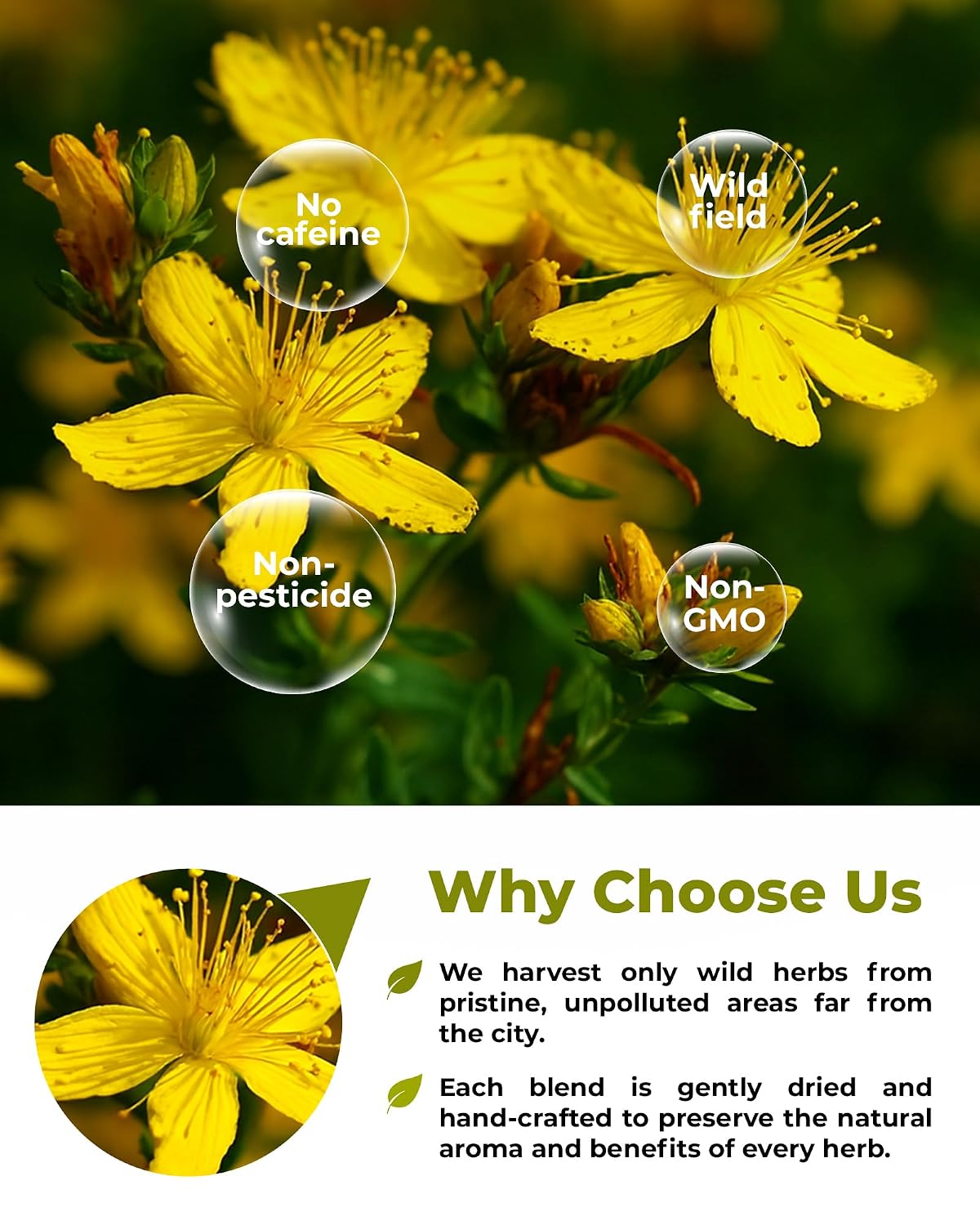 4 oz. St Johns Wort Herb Herbal Tea (Hypericum) - 113g Hierba De San Juan Herb Tea