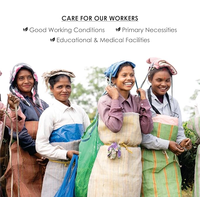 Octavius Gift's Select - Assorted Tea in Leafcut Design Wooden Box | 6 Flavors, 60 Tea Bags | Black & Green | Premium Tea Gifts for Women & Men | Pack of 1