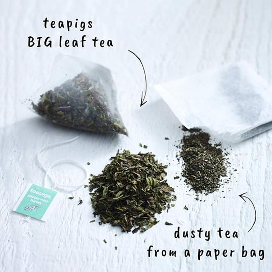 Teapigs Peppermint Leaves Tea Bags Made with Whole Leaves, 15 Count