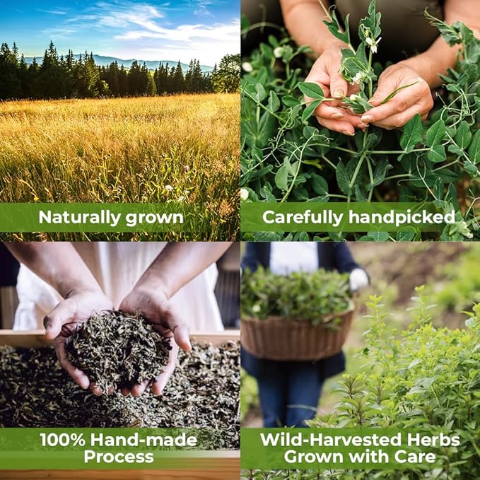 1.8 oz. Shepherds Purse Herb Bulk Herbal Tea Shepard Purse Herb (Capsella Bursa-Pastoris) - 50g Tea Bolsa De Pastor