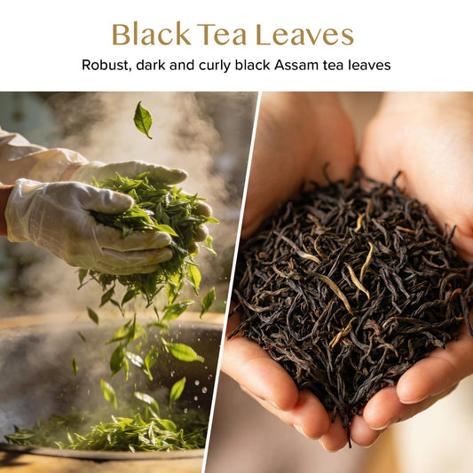 VAHDAM Assam Black Tea Leaves (12oz|170+ Cups) Quality Black Tea Loose Leaf | Malty & Rich |Caffeinated, Non GMO |Pure Unblended Single Origin Black Loose Leaf Tea |Vacuum Sealed |Enjoy with/without milk