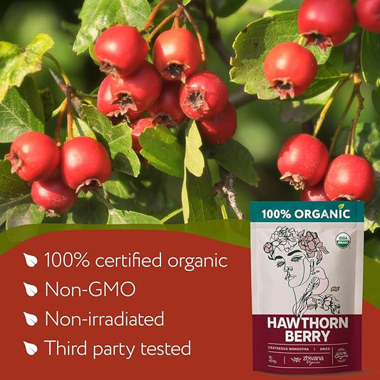 Zhivana Organics Hawthorn Berry Tea – Organic Hawthorne Berries, Value Pack 10lb