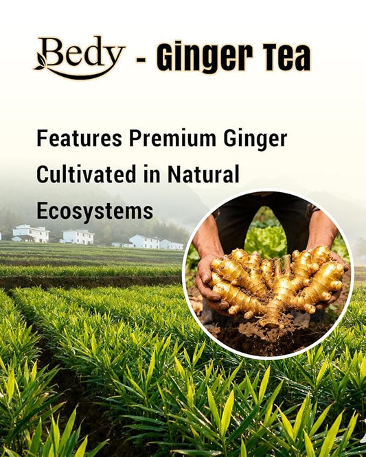 Bedy Ginger Tea Supports Healthy Digestion, Pure Natural Herbal Tea, Spicy & Warm, Caffeine Free, 120 Teabags Individually Wrapped
