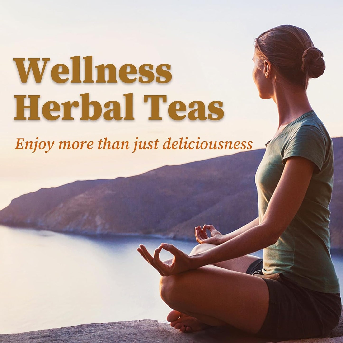 FullChea - Chrysanthemum Cassia Seed Tea, 30 Count, Herbal Blend Tea | Herbal blend with burdock root, goji berries, osmanthus and honeysuckle for a balanced daily tea routine