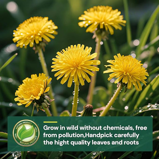 Dandelion Leaf and Root Tea Bag, Natural Dandelion Roasted Herbal Detox Teabag for Liver & Kidney Health, Support Digestion Dandelion Root Tea, Caffeine Free, No Additives(50 Teabags)