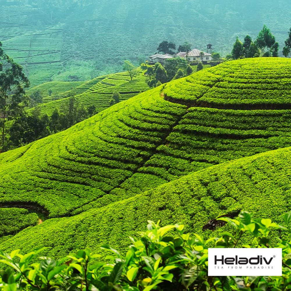 HELADIV Kenilworth Estate Ceylon Loose Leaf Black Tea, 1lb Bag, Aromatic & Full-Bodied, Smooth & Satisfying Brew, Ethically Sourced from Sri Lanka, Vegan, No GMO, Artificial Additives, Enjoy Any Time