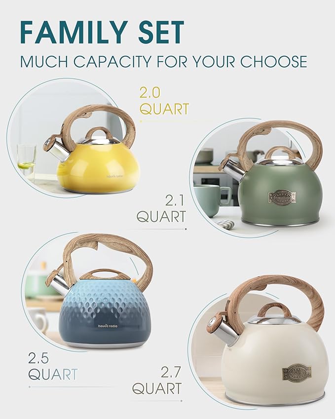 Tea Kettle, Whistling Stovetop Teapot Food Grade Stainless Steel Tea Kettles for Stove Top with Anti-hot Ergonomic Handle,Kettle Spout for Tea