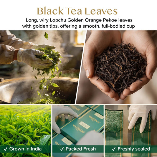 VAHDAM Second Lopchu Golden Orange Pekoe Loose Black Tea (3.53oz|50+ Cups)