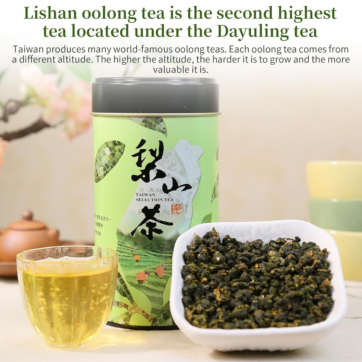 XIXICHA Lishan Oolong Tea Taiwan High Mountain Oolong Tea Loose Leaf Taiwan Lishan Tea Taiwaness Gaoshan Ulong Tea Formosa (120 cups)梨山茶 梨山高冷茶 台湾茶 台湾高山茶 乌龙茶 5.3oz/150g