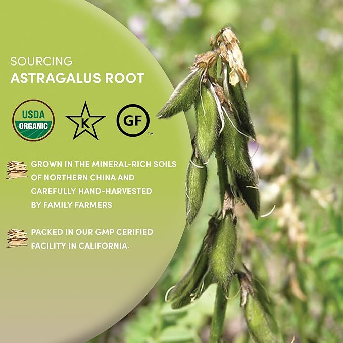 Worldwide Botanicals Organic Astragalus Root – 8 Oz – 100% Astragalus membranaceus - Cut & Sift