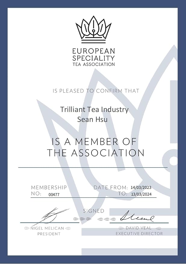 Trilliant-Fomsa Tea Milky oolong, high mountain Jin Xuan tea, hand-picked JinXuan, loose tea leaf, Taiwan gongfu tea, gift pack 4 oz, buttery and milky notes