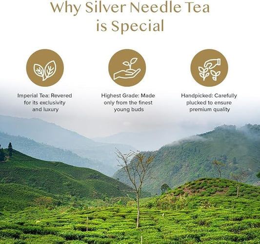 VAHDAM, Silver Pine Needle White Tea Loose Leaf 50g | Caffeine Free, Gluten Free | Pure Unblended Loose Leaf Tea | Vacuum Sealed | Brew As Hot, Iced Or Kombucha Tea