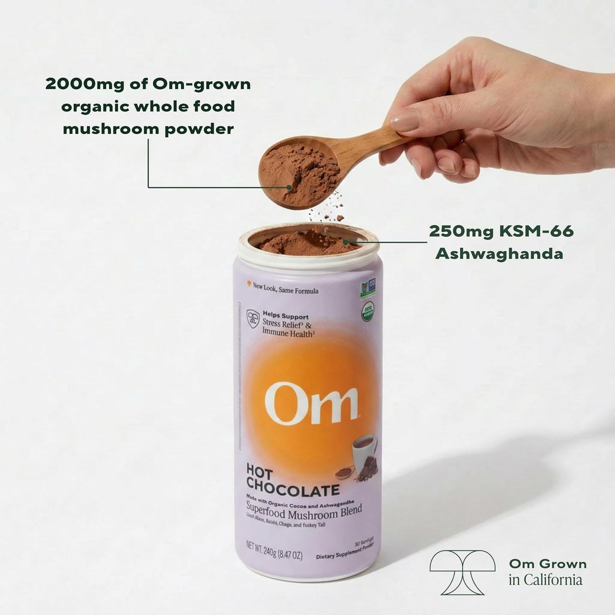 OM MUSHROOM SUPERFOOD Hot Chocolate Blend – Dutch Cocoa Mushroom Powder with Lion’s Mane, Reishi, Chaga & Turkey Tail – Focus, Calm & Stress Support – 2g Sugar, 25 Calories – Single Serve (10 Count)