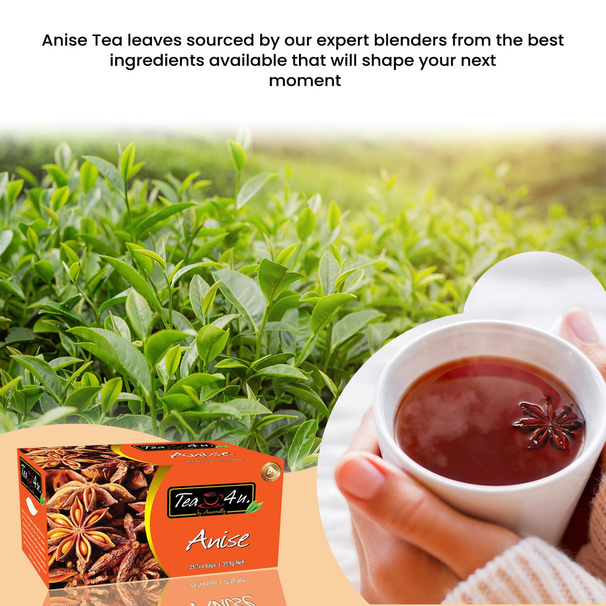 TEA 4U. BY ANVERALLY Tea4U Anise Herbal Infusion Tea Bags - Caffeine Free Blend - 25 Count