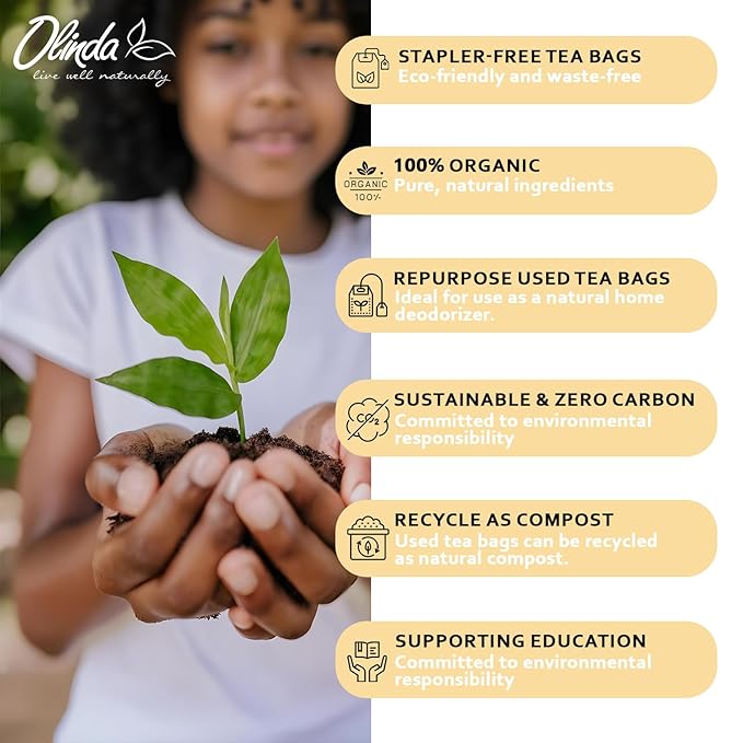 Olinda Turmeric Ginger & Ginseng Organic Herbal Tea 100 Tea Bags Caffeine-Free Stomach-Friendly Digestive Tea Brew Hot or Iced Tea Gift for Women & Tea Lovers