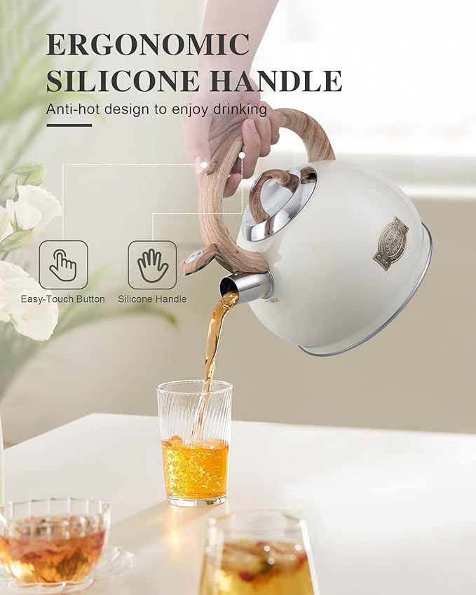 Tea Kettle Stovetop,2.7QT Stainless Steel Whistling Teapot for Stove Top Aesthetic,Portable Water Kettles Camping with Anti-hot Silicone Handle