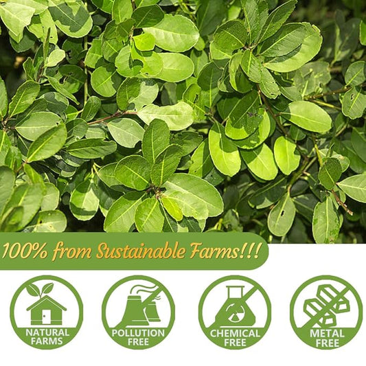 Premium 60 Unsmoked Yerba Mate Tea Bags, Made with 100% Pure Yerba Mate Leaves, No Additives & Caffeine Free.