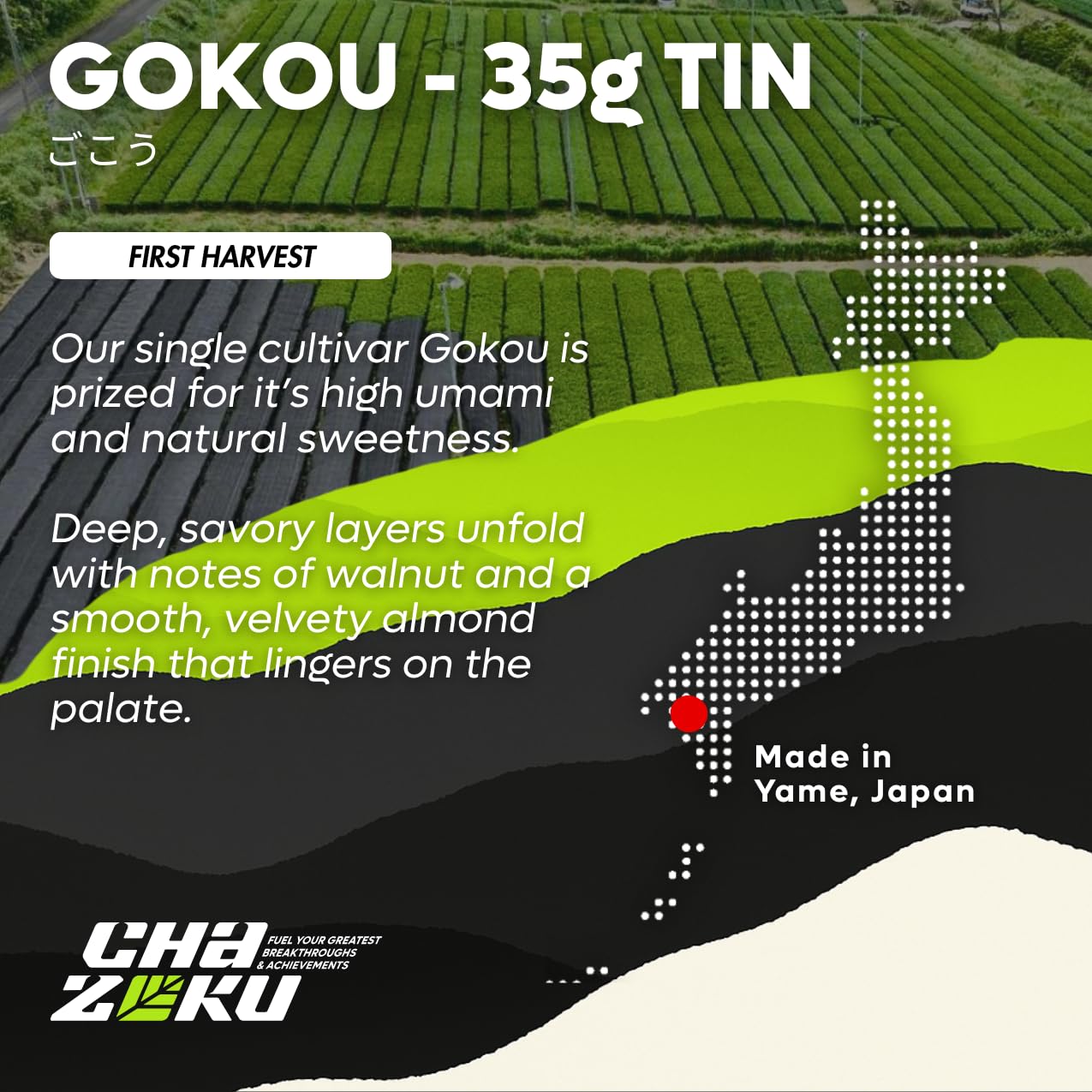 Chazoku Gokou (35g Tin) - Matcha Green Tea Powder - Single Cultivar - Ceremonial Grade, First Harvest - Traditional Japanese Matcha - Stone Milled - Fresh from Yame, Japan
