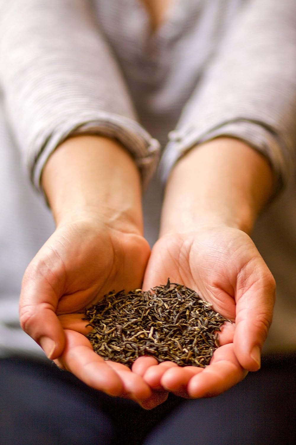 Golden Moon Organic Jasmine (96 Servings) Loose Leaf Tea