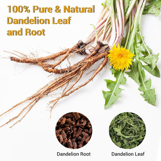 Dandelion Root and Leaf Tea, Detox Herbal Tea Support Liver & Kidney Health