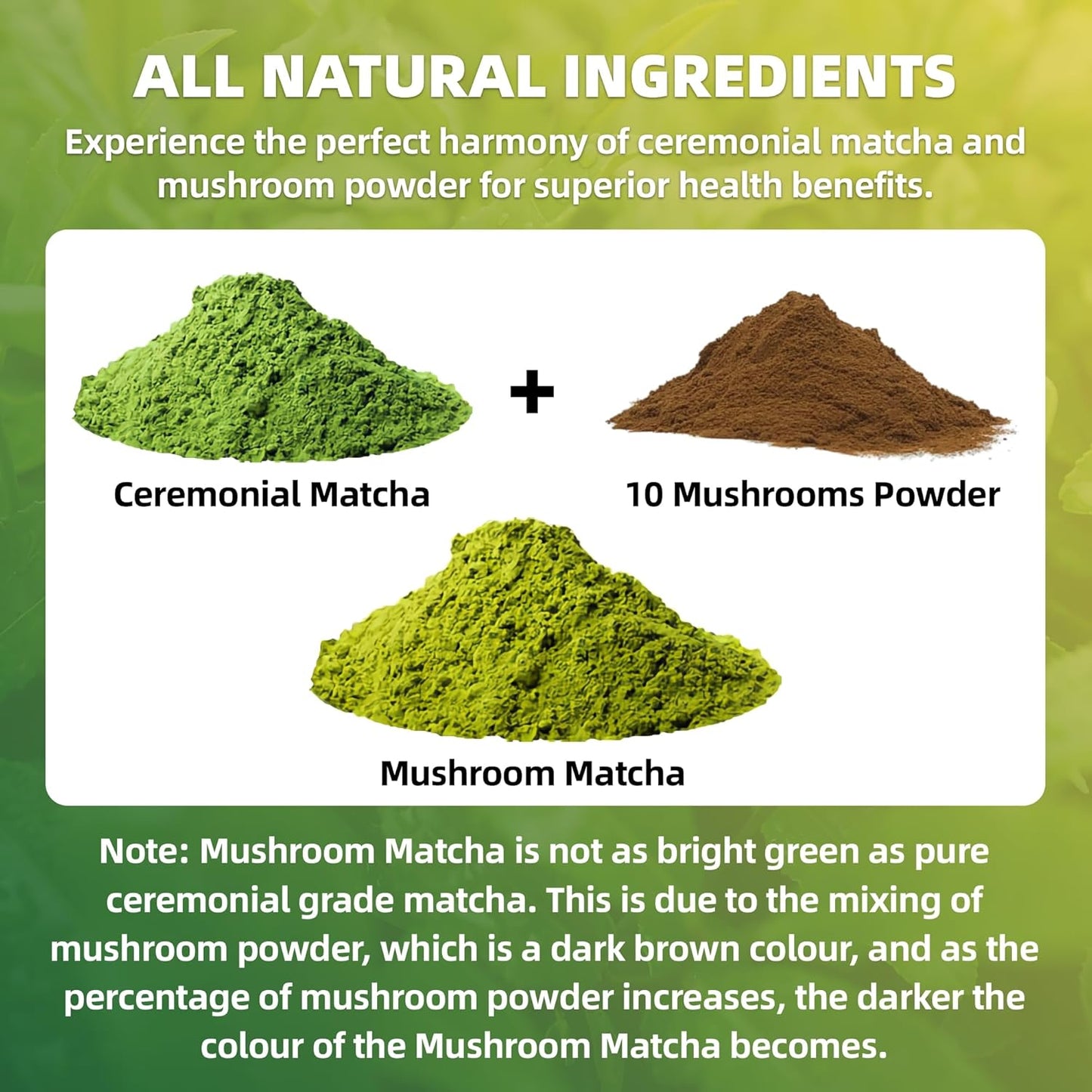 Mushroom Matcha, 10 Superfood Mushroom Powder Blend with Japanese Ceremonial Grade Matcha, Mushroom Coffee Alternative for Energy, Focus, Immunity