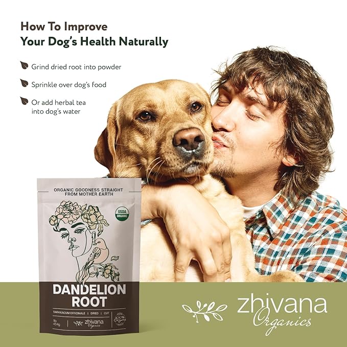 Dandelion Root Tea Loose (16 oz.) – Organic Dandelion Root Herb - Te de Diente de Leon Organico Natural - Digestion