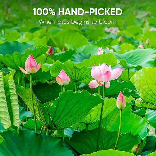 Nmpt Dried Lotus Leaf Tea, 100% Hand Pick, Organic Herbal Tea, 50 Tea Bags, Gluten Free, Dairy Free, Sugar Free & 100% Natural