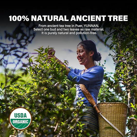 YUANSHENG Organic Raw Pu erh Tea Cake, USDA Certified, Aged & Organic Chinese Yunnan Ancient Tree Pu-erh Tea, Refreshing, 12.6 Oz