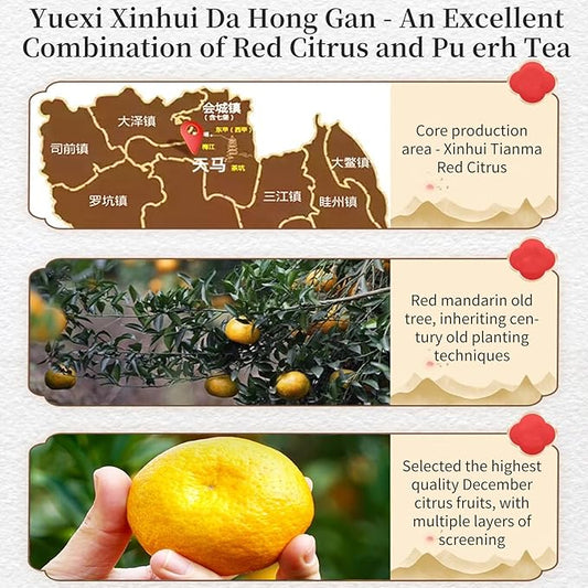 Yuexi Tangerine Peel Puerh Tea Da Hong Gan Pu-erh Xinhui Orange Peel Puer Xinhui Chenpi Pu'er Tea Pu'er CookedTea 陈皮普洱茶 大红柑 青柑普洱茶 新会陈皮 中国茶 250g/8.8oz