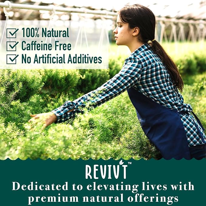 Revivt Herbal Tea – Mullein Leaf, Eucalyptus, Thyme & Peppermint – Caffeine-Free, 14 Day Supply